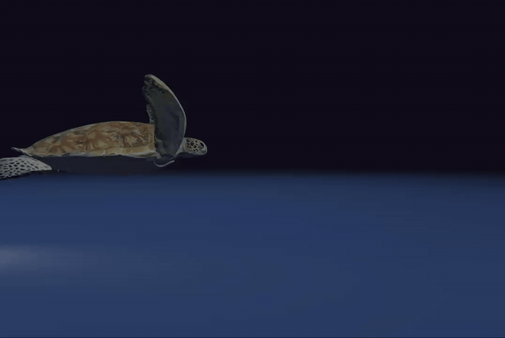A simulated turtle swimming through fluid